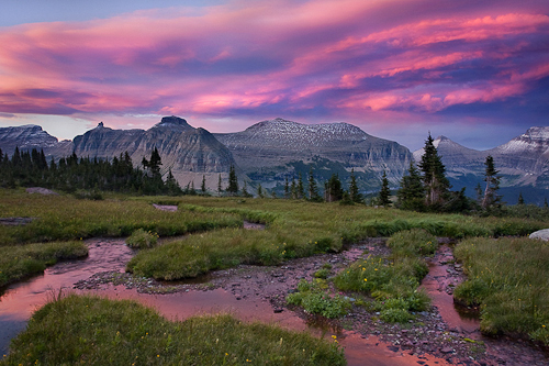 Scott Hotaling. Landscape and Nature Photographer.