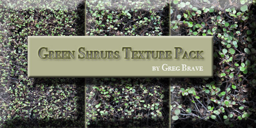 Download Green Shrubs Texture Pack