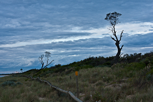 Seaford Beach, Seaford, Victoria. Australia.