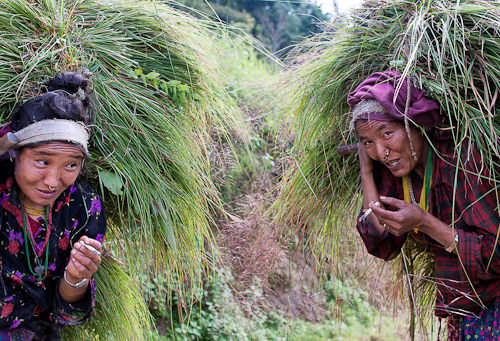 Hardworking Nepali Women