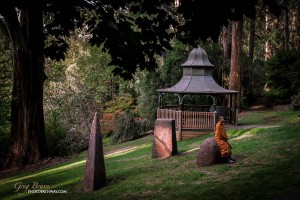 Arboretum at Alfred Nicholas Memorial Gardens