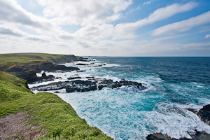 The Nobbies, Phillip Island, Victoria, Australia