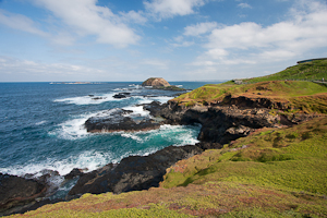 Seal Rocks, The Nobbies, Phillip Island, Victoria, Australia