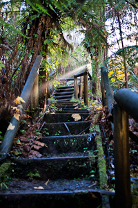 Wooden Stairs