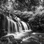 Purakaunui cascades waterfall in black and white, Catlins, South Island, New Zealand