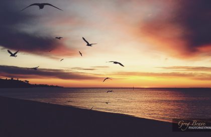 Zen like vintage sunset on a beach with flying seagulls silhouettes. Romantic and tranquil scene