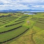 Aerial panorama of Devil's Corner winery. East coast, Apslawn, Tasmania, Australia