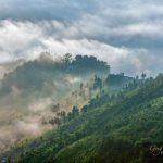 Rice terraces in early morning mist in Kathmandu Valley, Nepal