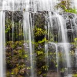 Flowing water over rocks and ferns cascade closeup. Tasmania, Australia.