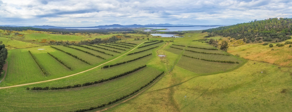 Aerial panorama of Devil's Corner winery. East coast, Apslawn, Tasmania, Australia