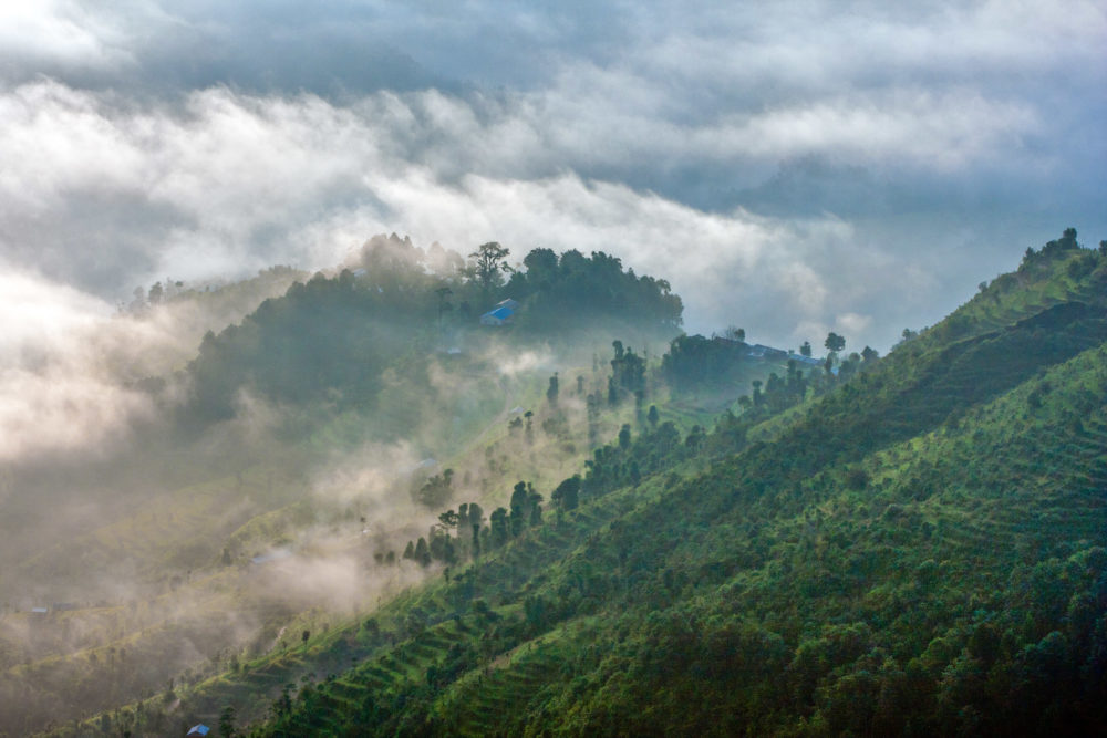 Rice terraces in early morning mist in Kathmandu Valley, Nepal